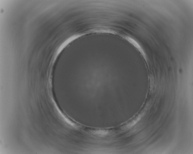 X0000081391141200701252058