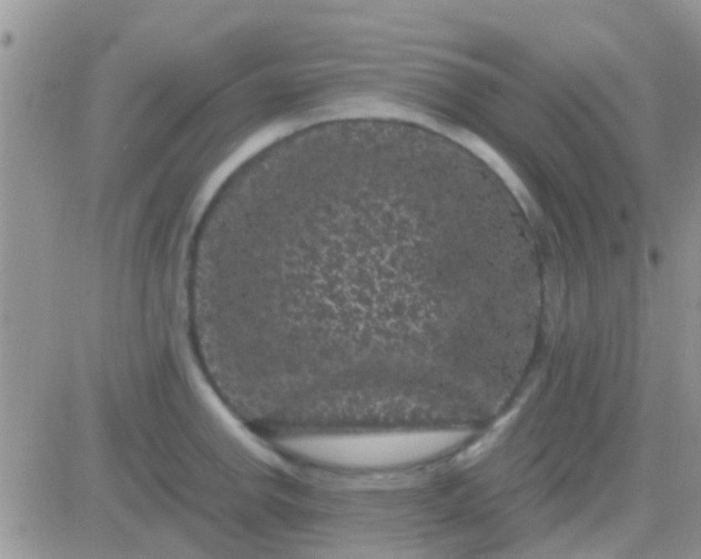 X0000081391142200701252058