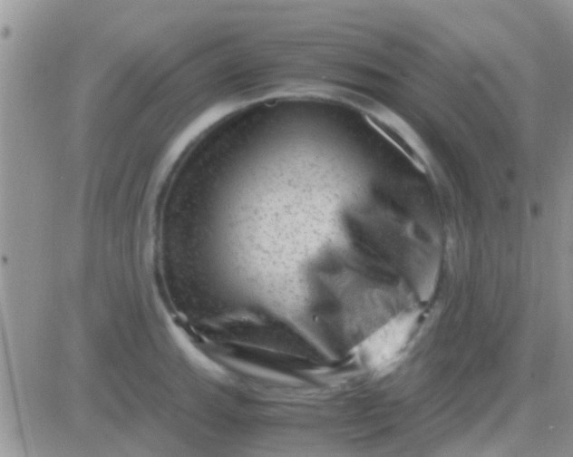 X0000081391143200701252058