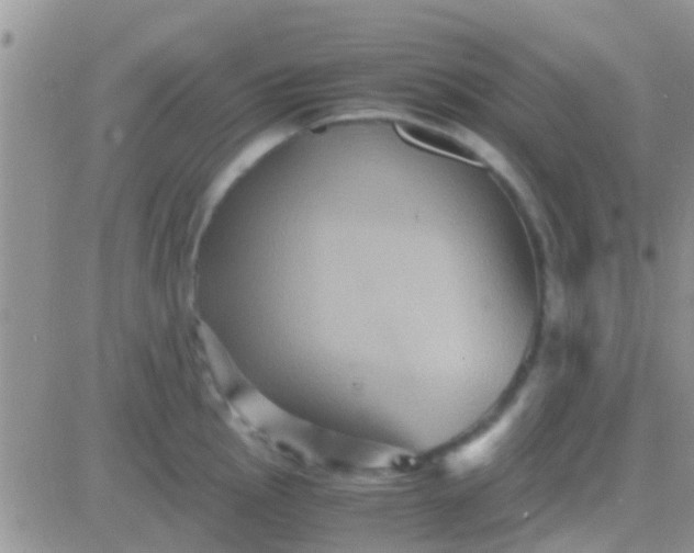 X0000081391145200701252058