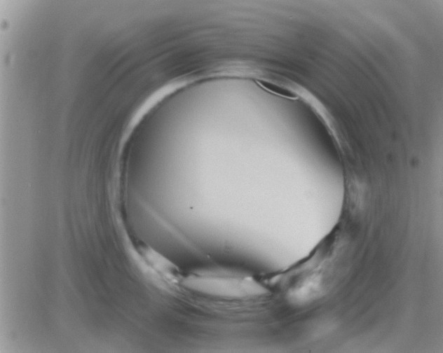 X0000081391147200701252058