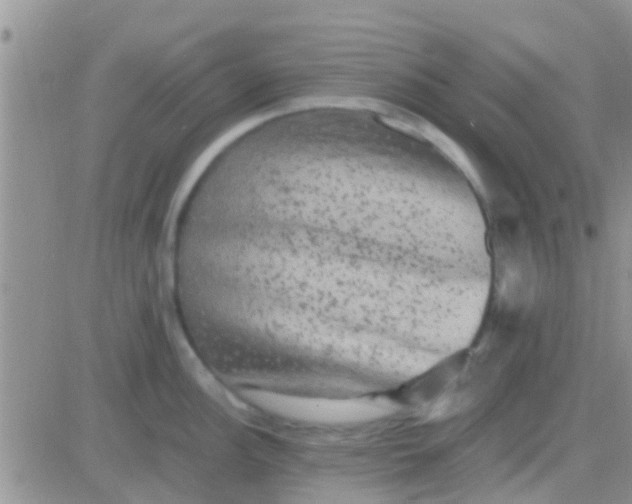 X0000081391148200701252058