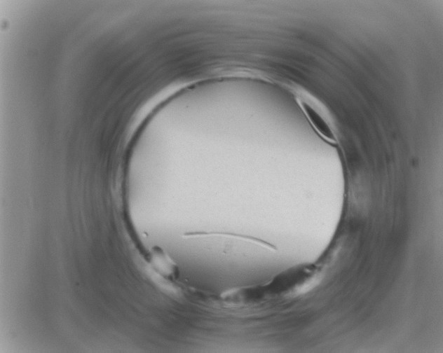 X0000081391149200701252058