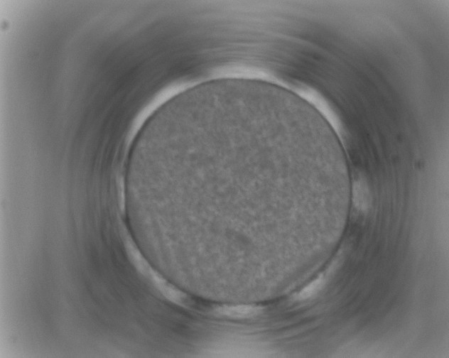 X0000081391150200701252058