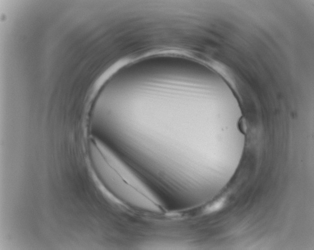 X0000081391151200701252058