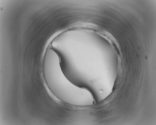 X0000081391152200701252058