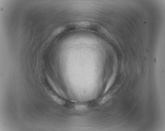 X0000081391153200701252057