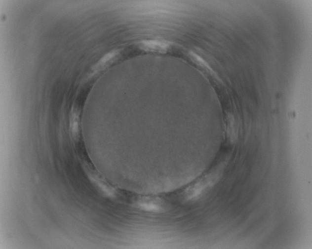 X0000081391154200701252057