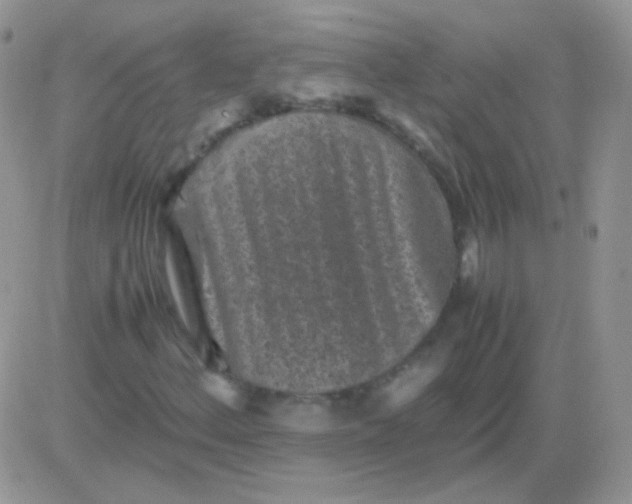 X0000081391156200701252057