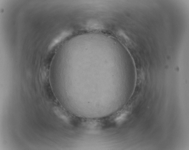 X0000081391157200701252057