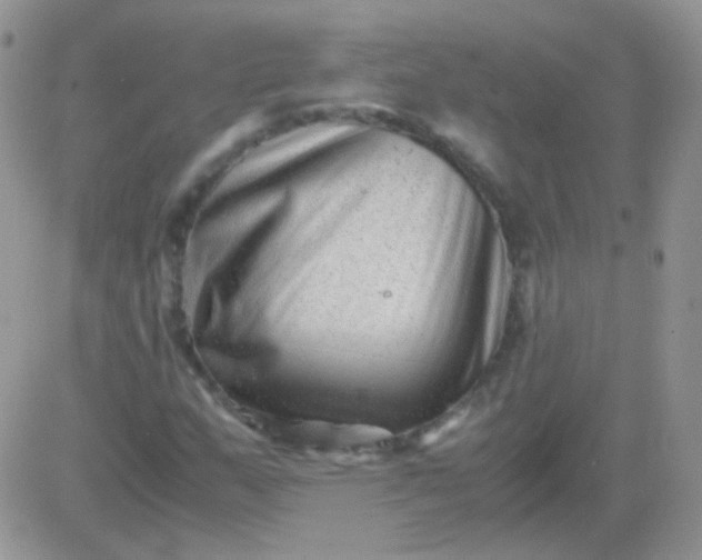 X0000081391159200701252057