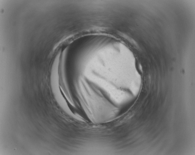 X0000081391160200701252057