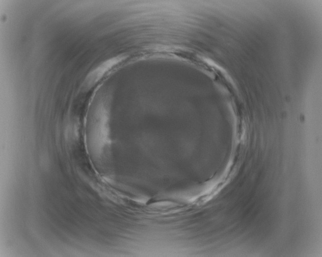 X0000081391161200701252057