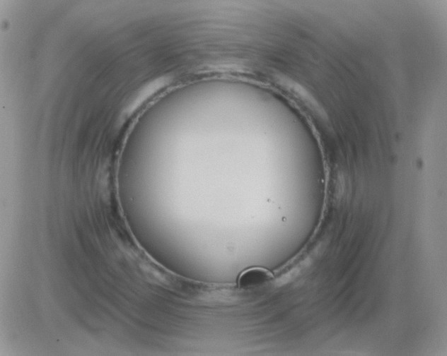 X0000081391162200701252057