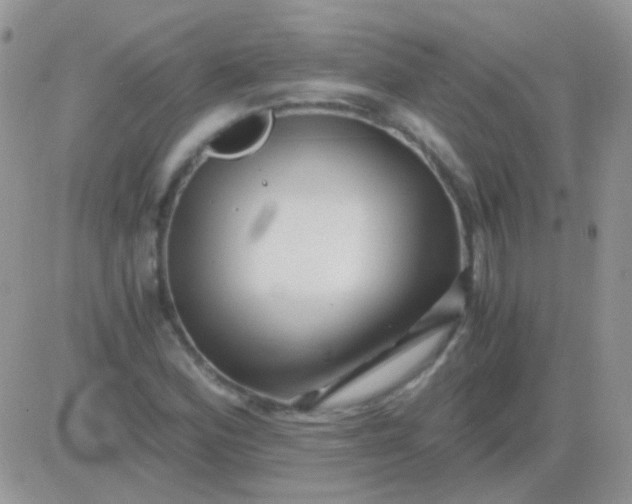 X0000081391164200701252057