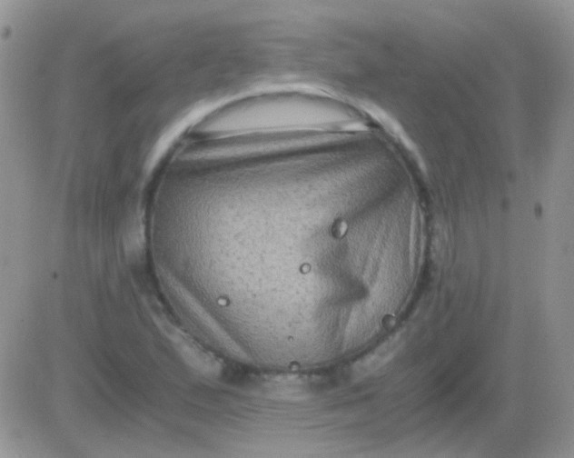 X0000081391167200701252057