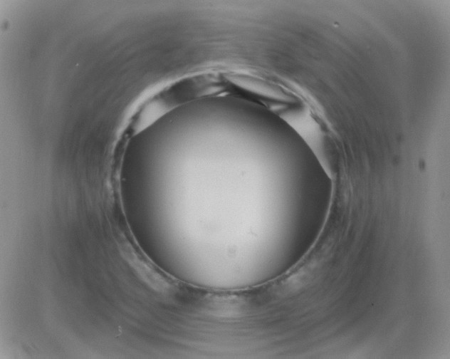 X0000081391168200701252057