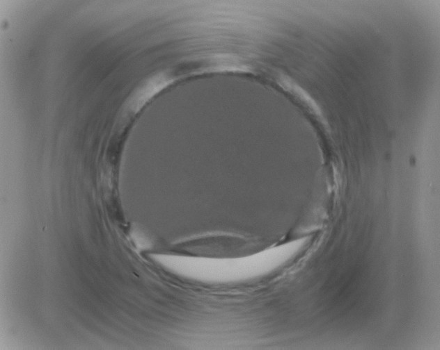 X0000081391169200701252057