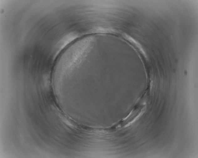 X0000081391170200701252057