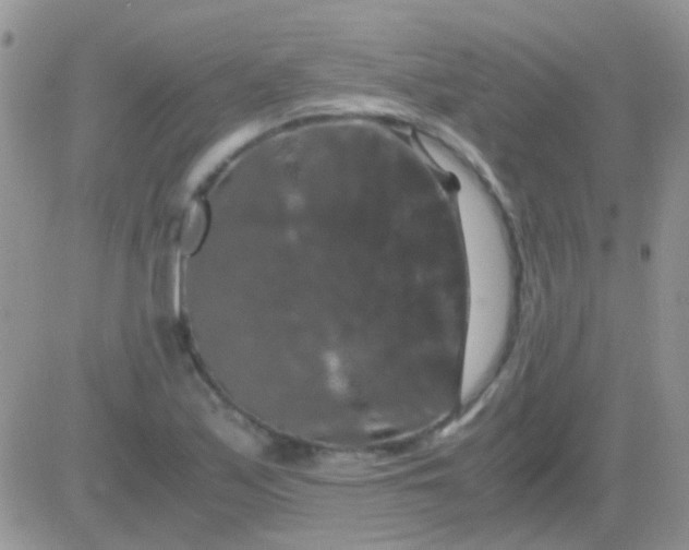 X0000081391171200701252057