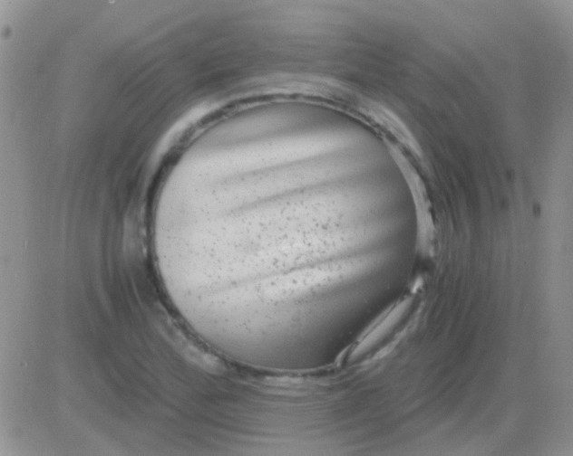 X0000081391172200701252057