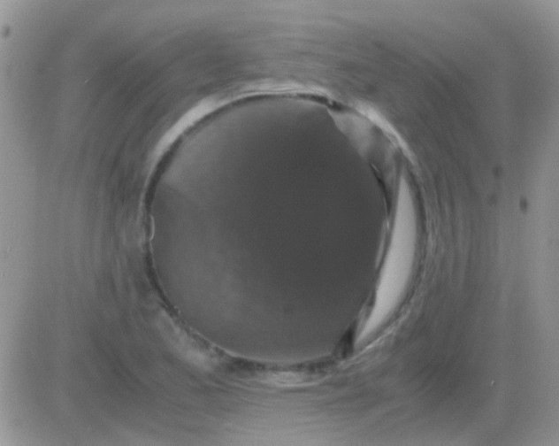 X0000081391173200701252057