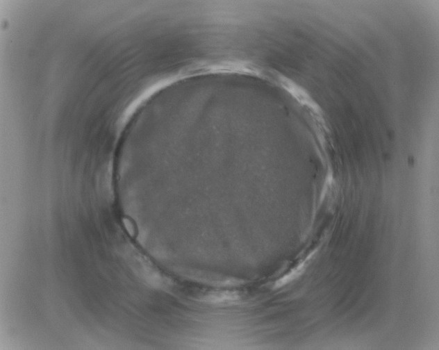 X0000081391174200701252057