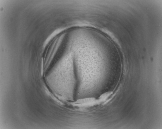 X0000081391175200701252057