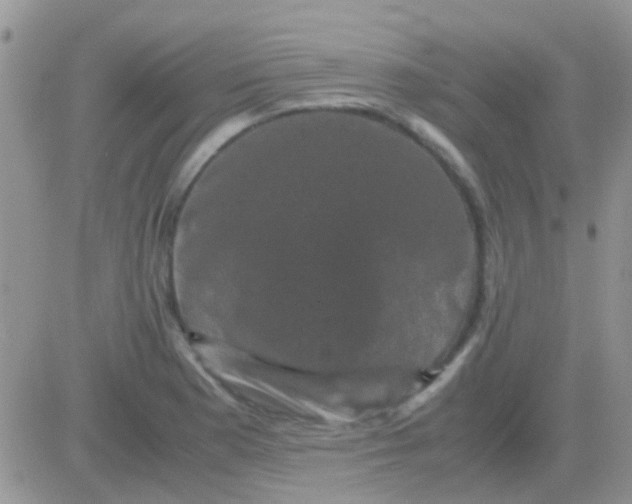 X0000081391177200701252057