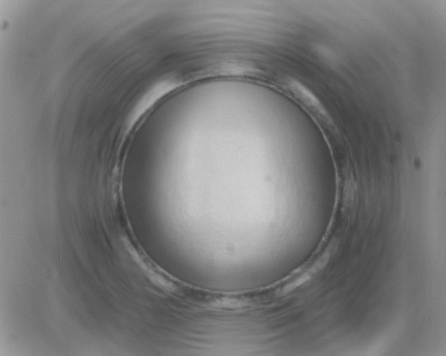 X0000081391178200701252057