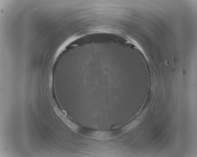 X0000081391179200701252057