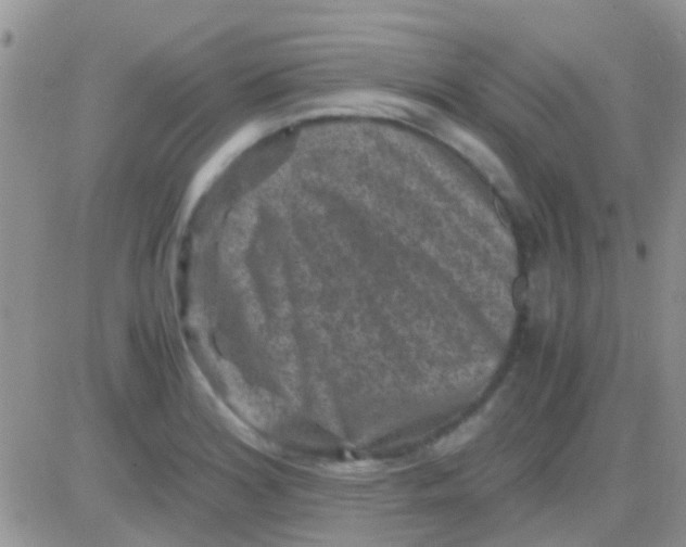 X0000081391180200701252056