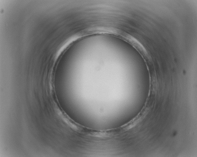 X0000081391182200701252056