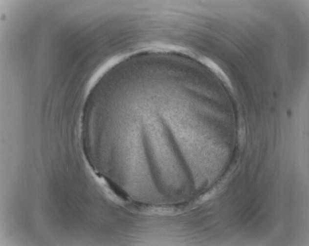 X0000081391183200701252056