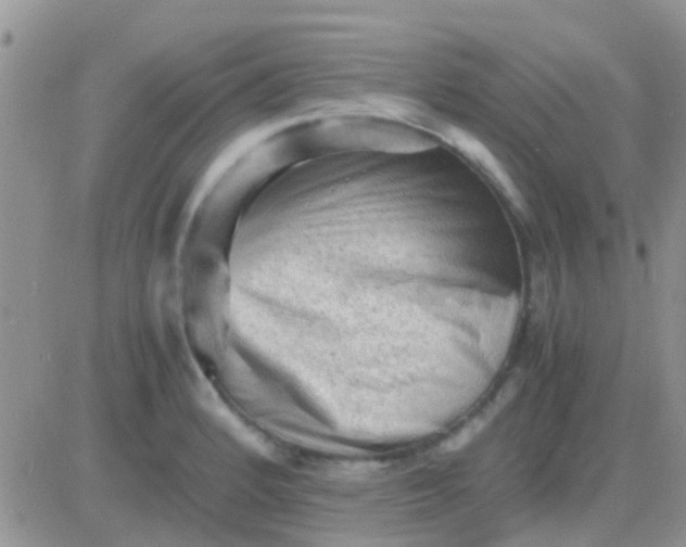 X0000081391184200701252056