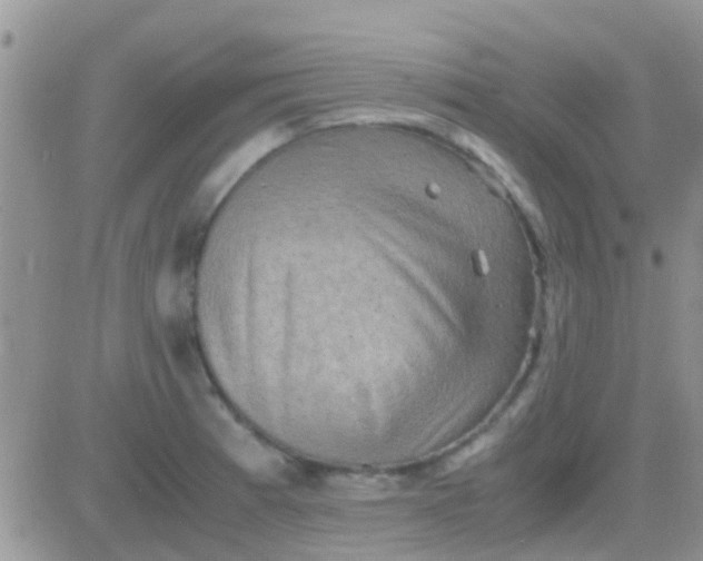 X0000081391185200701252056