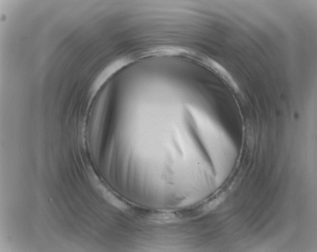 X0000081391186200701252056