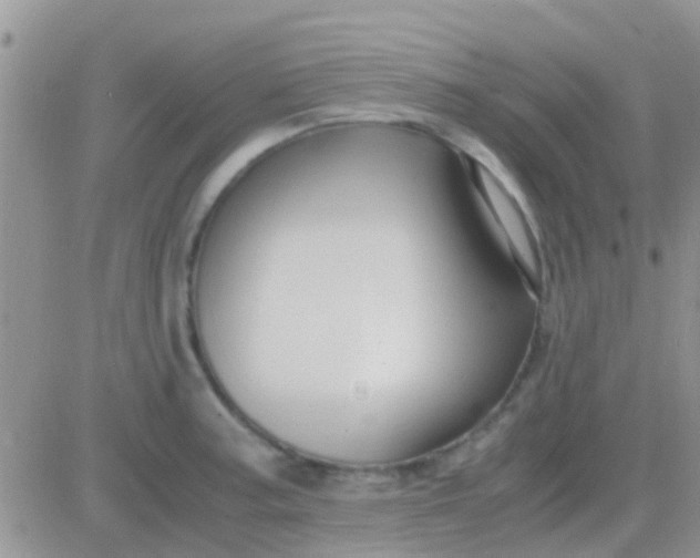 X0000081391187200701252056