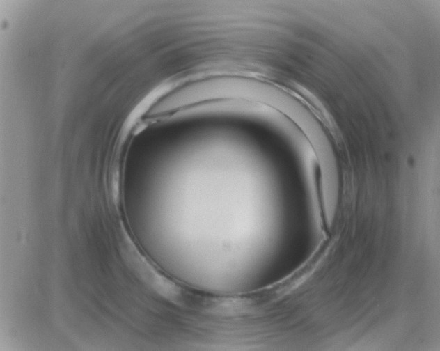 X0000081391188200701252056