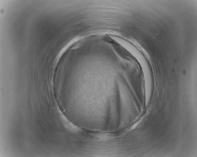 X0000081391189200701252056