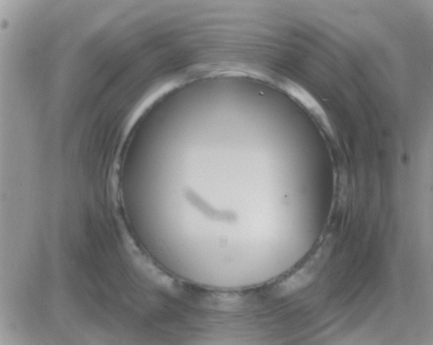 X0000081391190200701252056