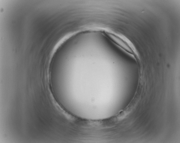 X0000081391191200701252056