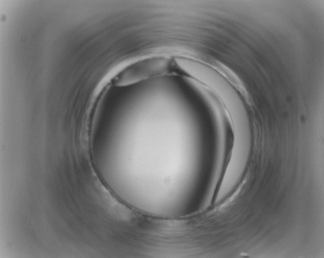 X0000081391192200701252056