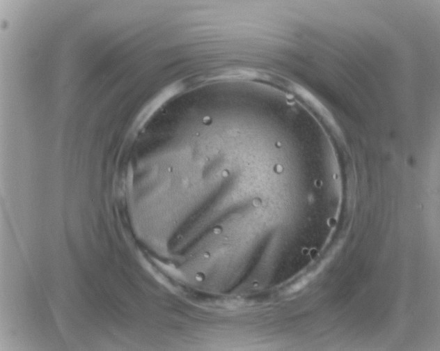 X0000081391193200701252056