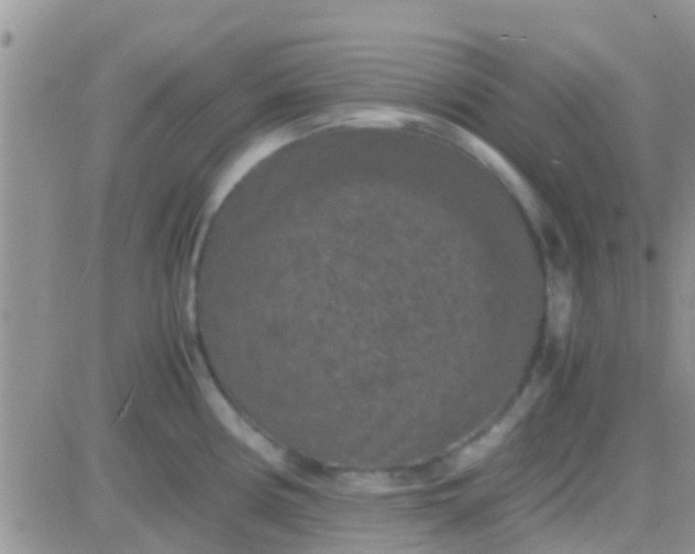 X0000081391194200701252056