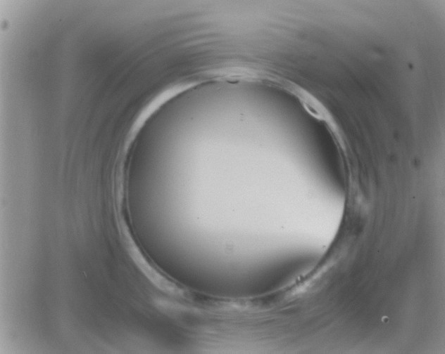 X0000081391195200701252056