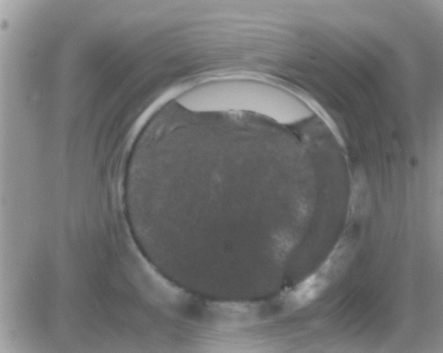 X0000081391197200701252056