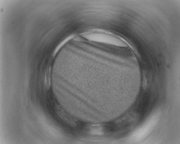 X0000081391198200701252056