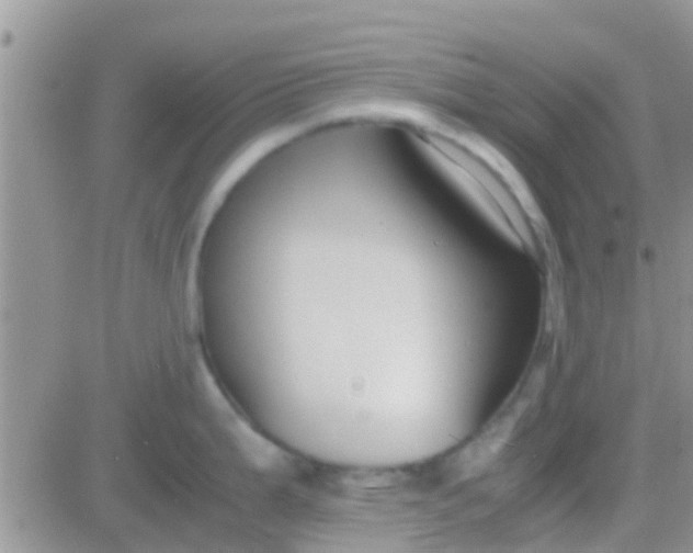 X0000081391199200701252056