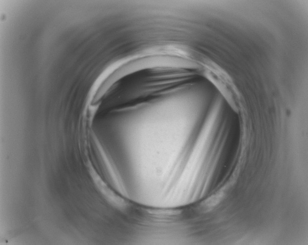 X0000081391200200701252056